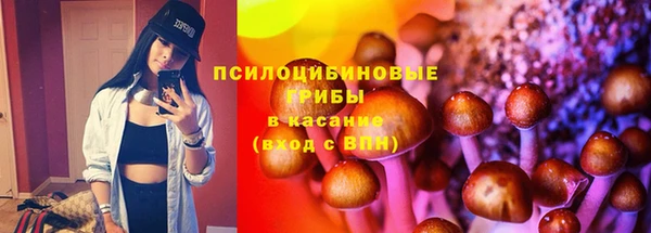 ешки Вязники