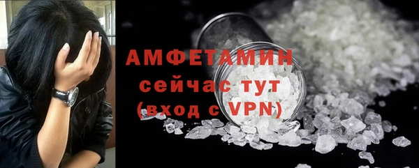 ешки Горняк