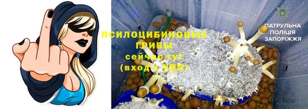 ешки Горняк